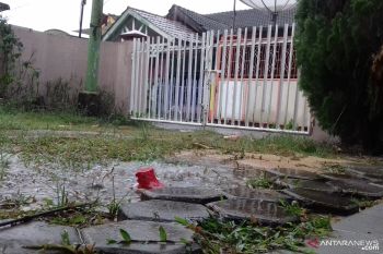 Hujan deras di Pekanbaru disambut syukur