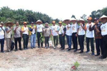 Ribuan peserta meriahkan kegiatan PRB 2019 di Bangka Tengah