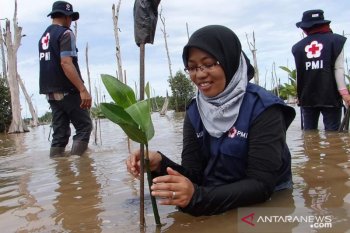 Sibat PMI membangun ketangguhan berbasis ekosistem