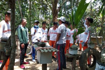 Di Lampung Timur ada wisata memanen madu