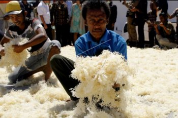 Produksi rumput laut ditargetkan 2,3 juta ton