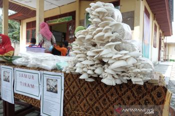 Peneliti: Perempuan berperan besar dalam larangan pembakaran lahan