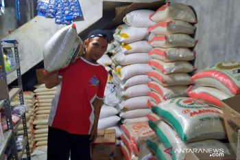 Stok cukup, harga telur di Solo mulai turun