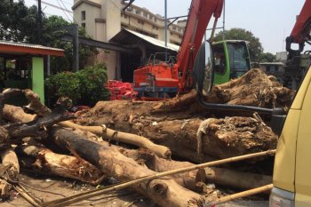 Satgas berjibaku dengan sampah kiriman di Pintu Air Manggarai