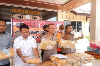 Polres Bengkalis ringkus kurir narkotika sabu-sabu 27,1 kg