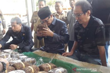 Pabrik rokok diharapkan beli tembakau petani dengan wajar