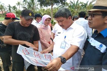 Hari Pangan Sedunia, Dirjen Holtikultura Kementan tinjau kesiapan lokasi