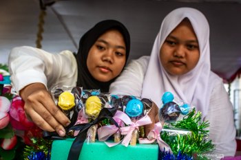Legislator DPR ingin generasi milenial aktif bangun desa