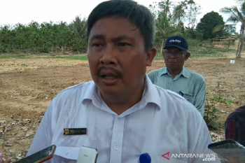 Dirjen Kementan: Lokasi persiapan HPS di Sultra mencapai 60 persen