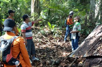 Tim SAR gabungan Manado cari kakek hilang di kebun
