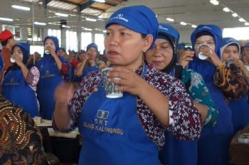 Dinkes Kudus canangkan pemberian tambah darah bagi perempuan pekerja