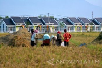 Produksi beras Kota Madiun hanya 11.000 ton akibat lahan berkurang
