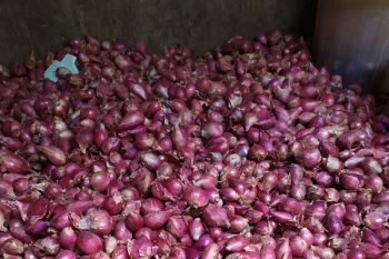 Harga bawang merah di Bandarlampung naik
