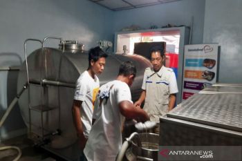 Kemarau, produksi susu Boyolali anjlok