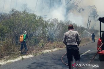 Gunung Ranti Banyuwangi terbakar, pendakian Ijen ditutup sementara