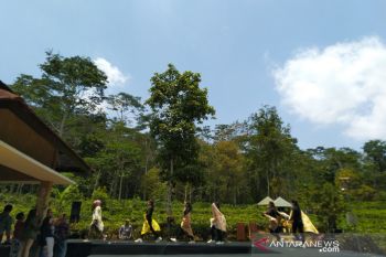 Pemkab Kulon Progo minta pelaku wisata tingkatkan kualitas pengelolaan dan promosi