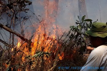Kebakaran hutan Gunung Rinjani meluas