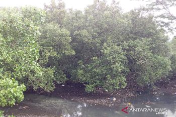 Pemerintah Kabupaten Sangihe bakal tata kawasan rawa jadi pusat kuliner