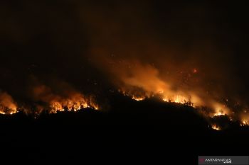 Kebakaran lahan Gunung Merapi Ungup-ungup