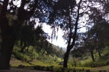 Cuaca buruk, jalur pendakian Gunung Lawu Magetan ditutup