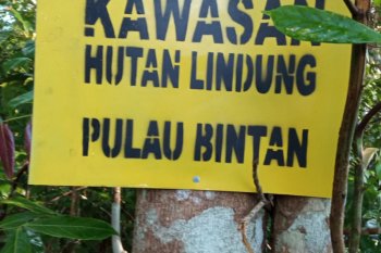 Warga Bintan desak tinjau ulang kawasan hutan
