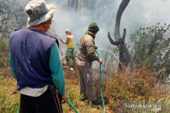 Dishut Sulawesi Tenggara: 731,41 hektare hutan terbakar
