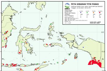 BBMKG: 314 titik panas terpantau di bagian selatan Papua