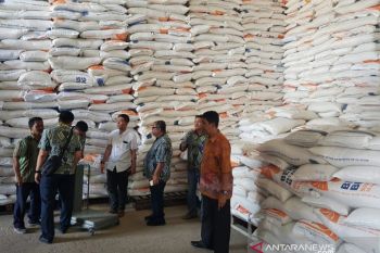 Bulog Riau Kepri targetkan serap 5.000 ton padi petani