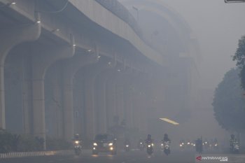 BPS: kebakaran hutan dan lahan berdampak pada penurunan ekspor Sumsel