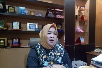 KPU Sumsel berharap  e-rekap bisa diterapkan pada pilkada 2020