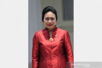 Ini profil Bintang Puspayoga, dari ASN jadi Menteri PPPA