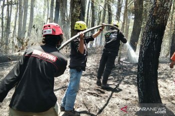 ACT Sulsel  ikut bantu padamkan kebakaran hutan lahan