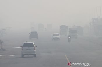 Kabut Asap Akibat Karhutla