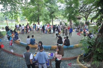 30 persen taman  Kota Palembang rusak