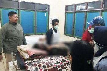 Seorang warga Kapuas tewas terbakar saat tengah bakar lahan