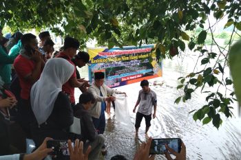 Nasrul Abit lepas 15 ribu bibit ikan di Batang Sumpur
