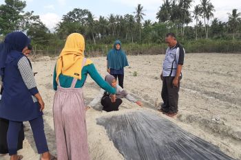 Perempuan penyintas bencana di Sigi dilatih bidang pertanian