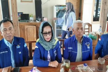 11 kandidat ikut penjaringan NasDem untuk Pilkada Gunung Kidul