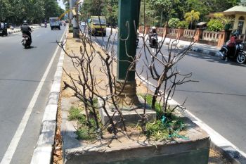 Mobil penyiram taman Pemkot Mataram ditahan di kantor Samsat