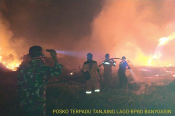 Menteri Siti: Karhutla lebih banyak akibat faktor manusia