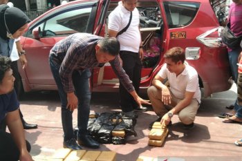 Puluhan kilogram ganja Aceh tujuan Jambi dicegat di Riau