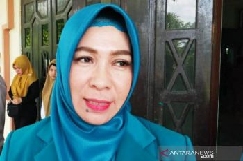 PKK desa ujung tombak penggerak posyandu dan dasa wisma di Pulpis