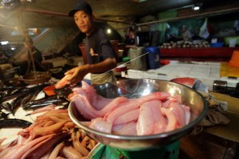 Palembang kejar target konsumsi  ikan 250 ton/hari