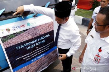 Gubernur lepas pengiriman perdana HHBK rotan ke Cirebon