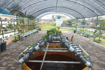 BWSS Perindah Kota dengan Taman Hydroponic (Video)
