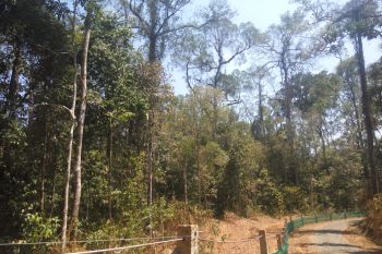 Kandang badak baru di Suaka Rhino Sumatera diresmikan