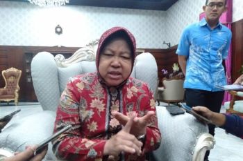 Dua kali tolak jadi menteri, Risma pilih fokus pada jabatanya