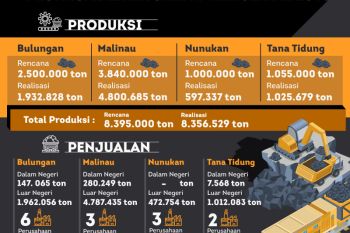 Pemprov Kaltara Realisasikan 8,356 Juta Ton Batubara