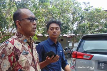 Kadis Pertanian NTB mengklaim tidak ada masalah pengadaan bibit jagung