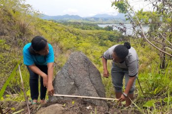 Arkeolog temukan papan batu megalitik dan menhir di Bukit Yamokho, Papua